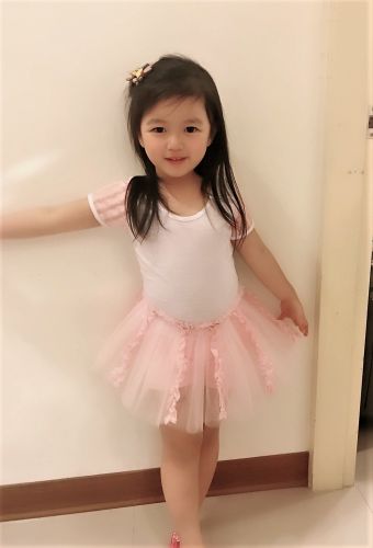 甜美緹花短袖上衣